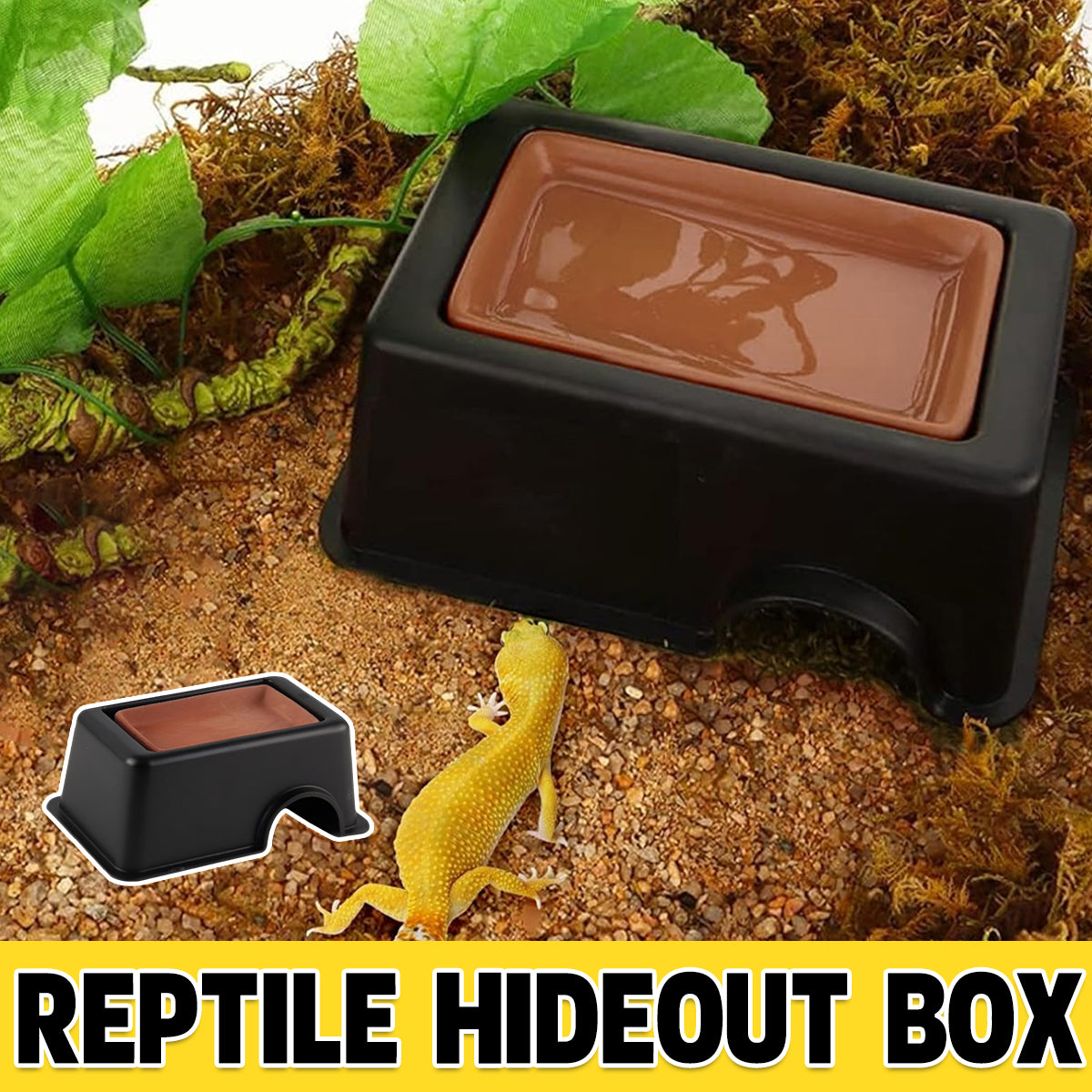 Reptile Hideout Cave Shelter With Ventilation For Lizards Geckos