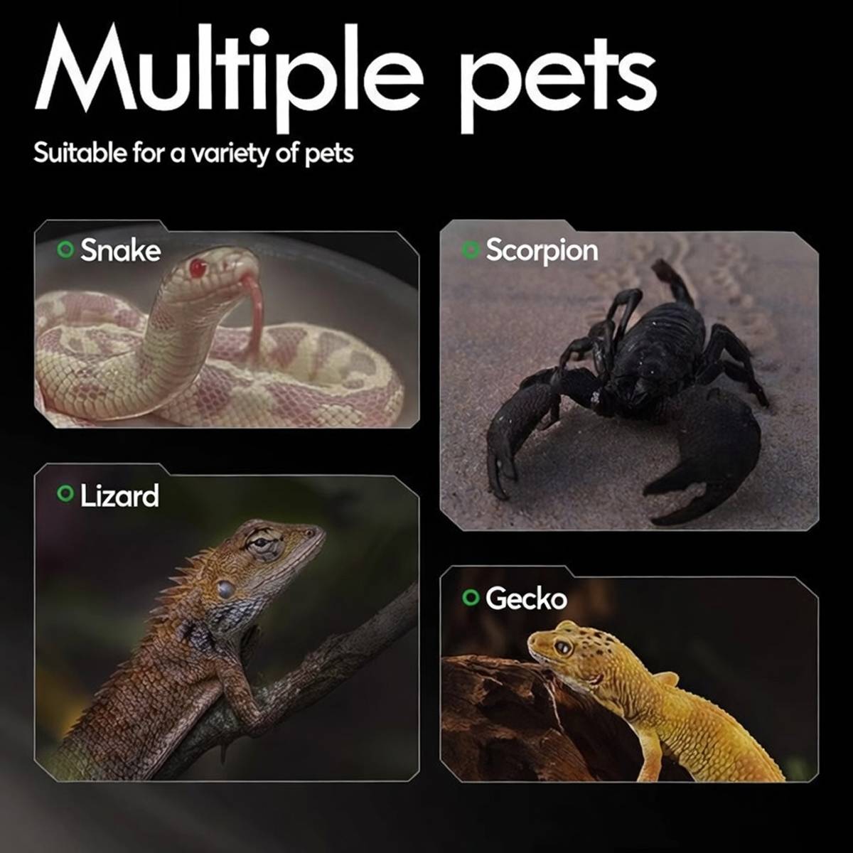 Orange reptile calcium sand vivarium substrate – product view 11