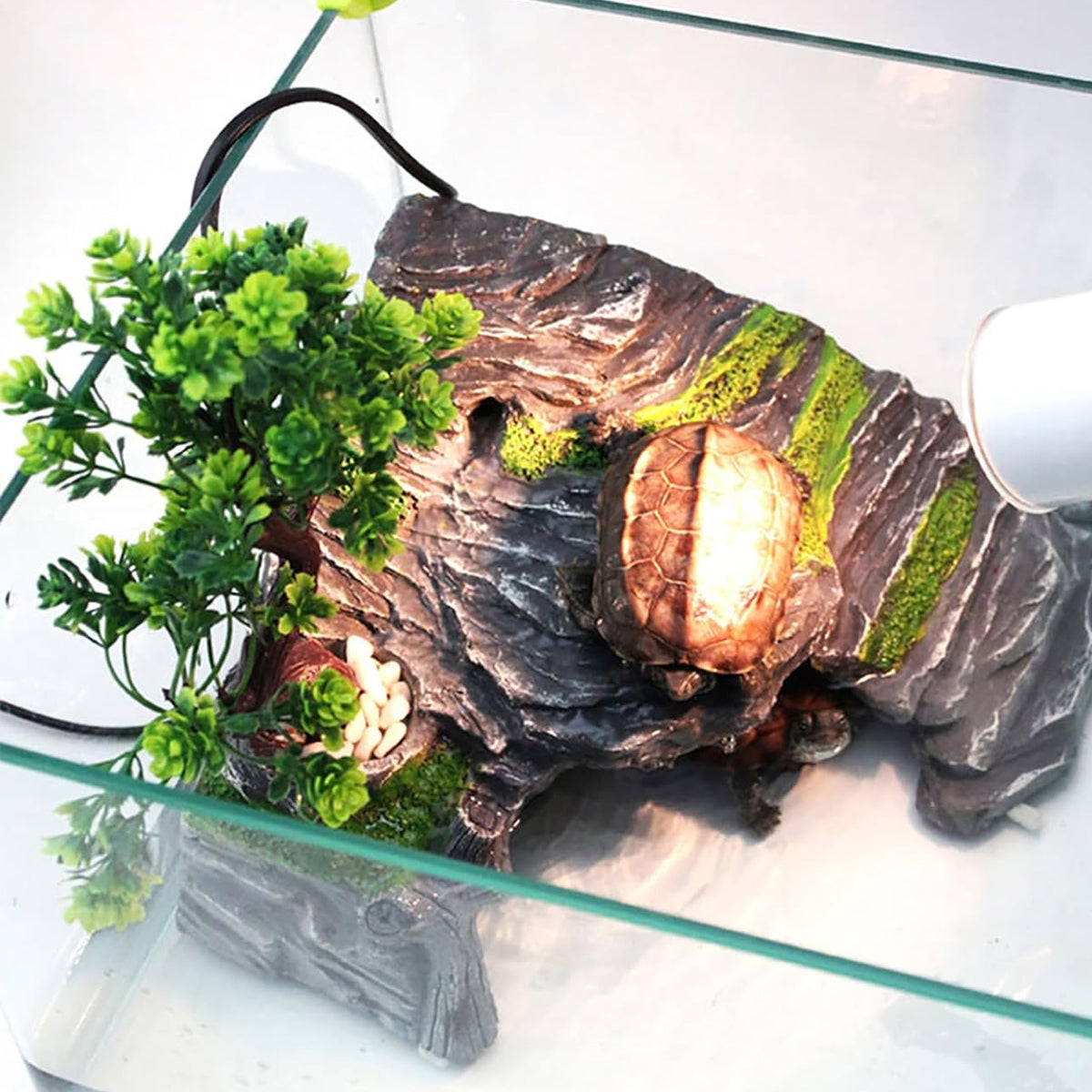 Reptile Hideout with Tree Decor