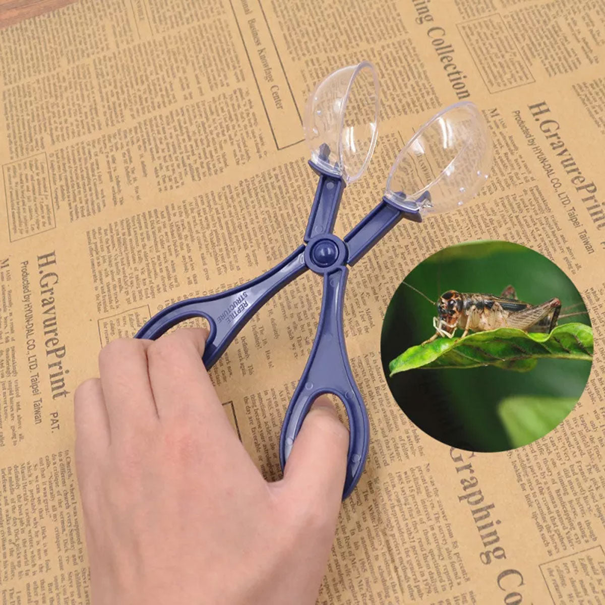 Pet Insect Catching Clip for Reptiles Cleaning Tool with Dome Cover
