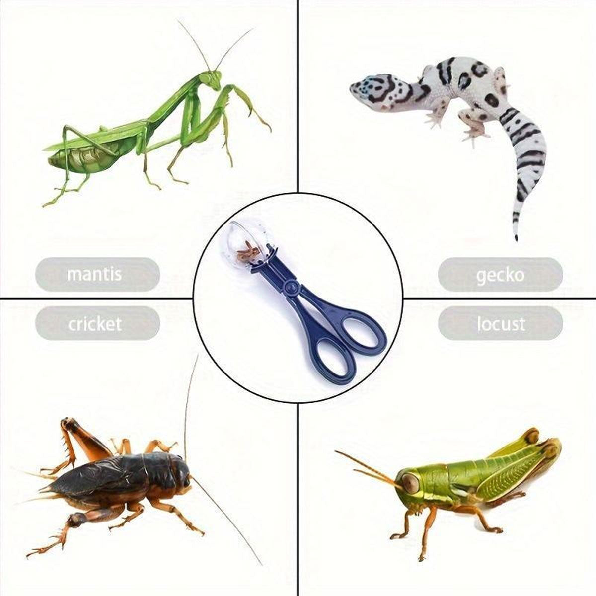 Pet Insect Catching Clip for Reptiles Cleaning Tool with Dome Cover