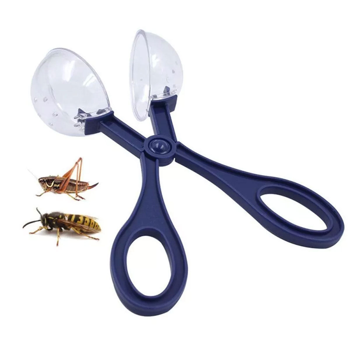 Pet Insect Catching Clip for Reptiles Cleaning Tool with Dome Cover
