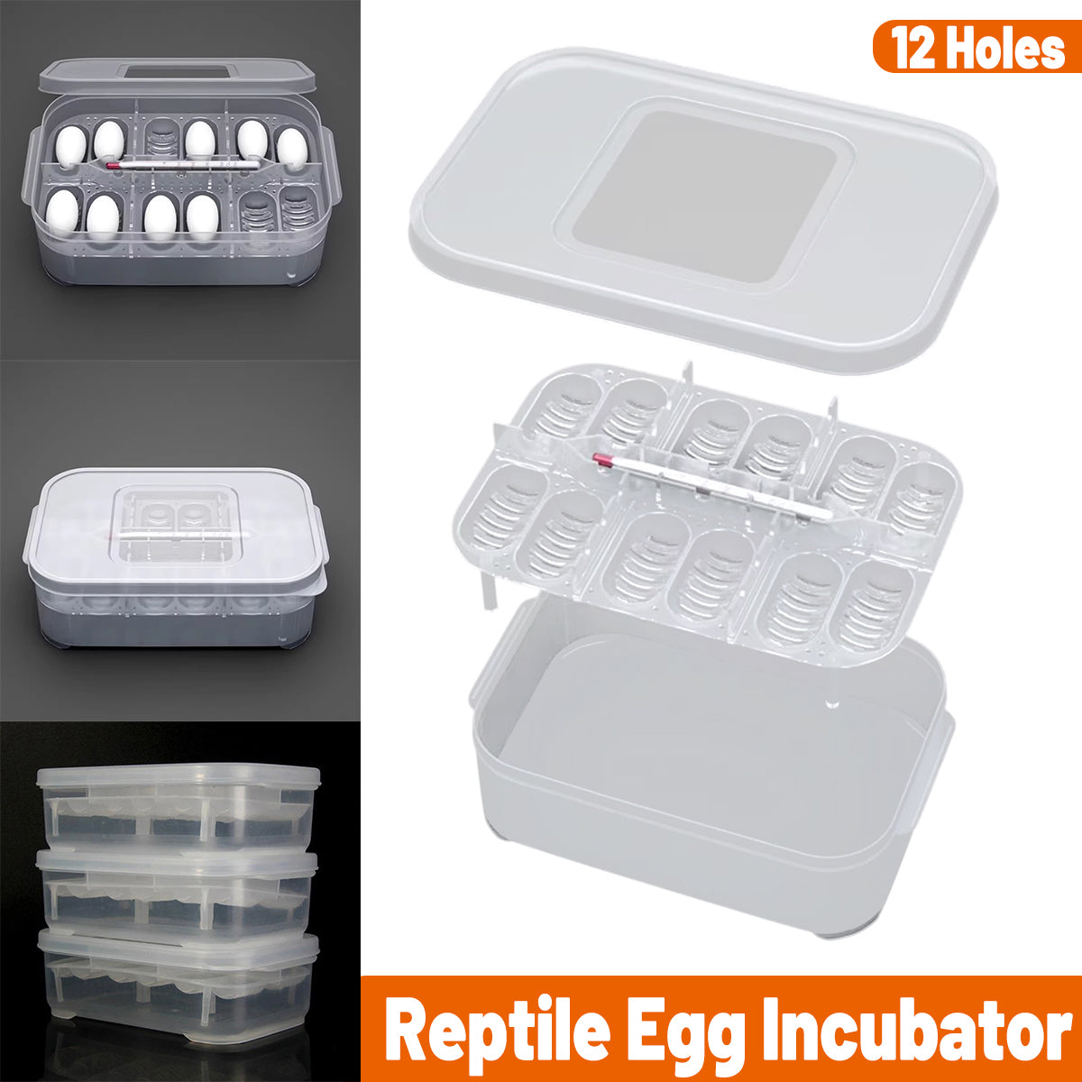 Reptile Egg Incubation Tray 12-Slot Hatching Box with Lid