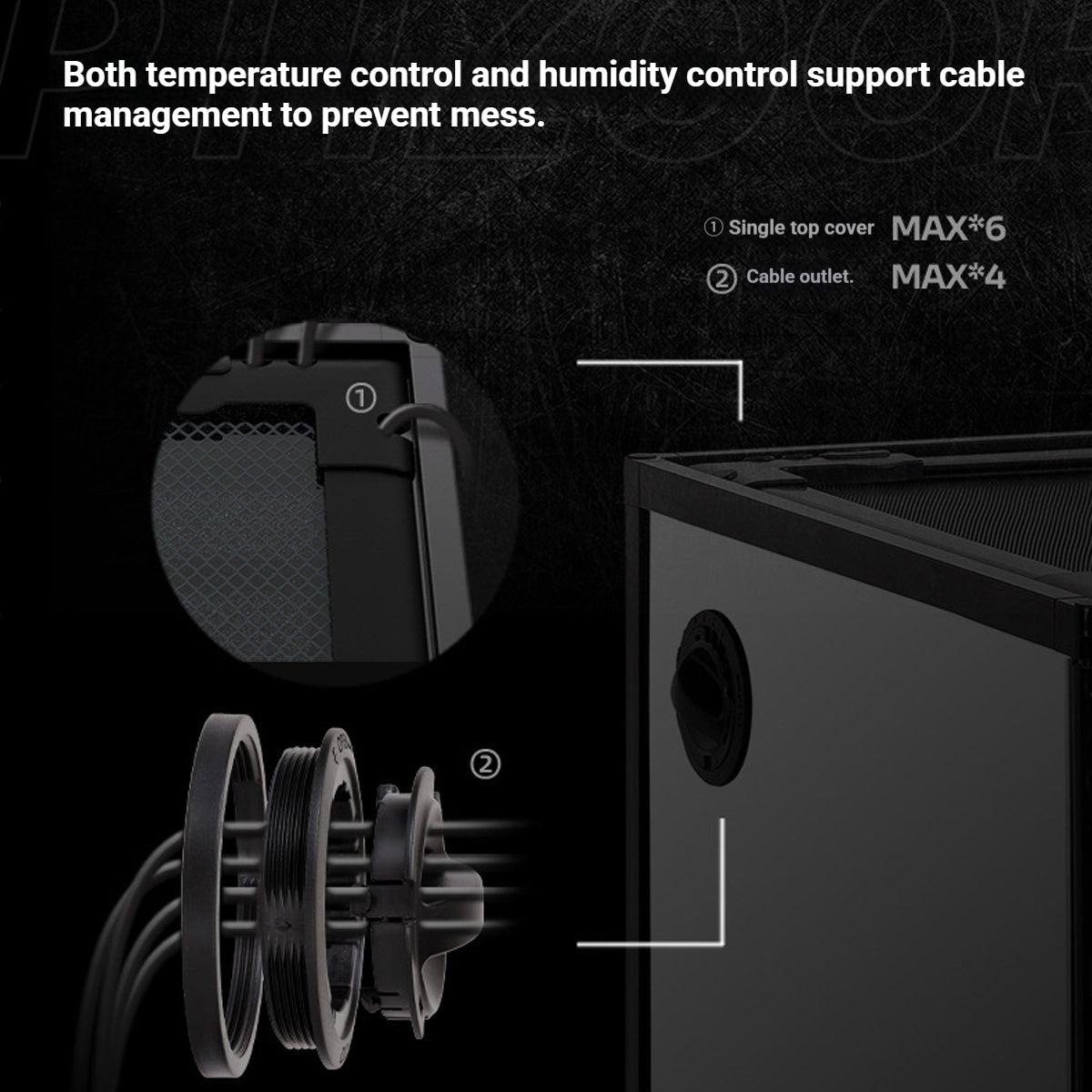 Glass Reptile Terrarium Habitat Enclosure