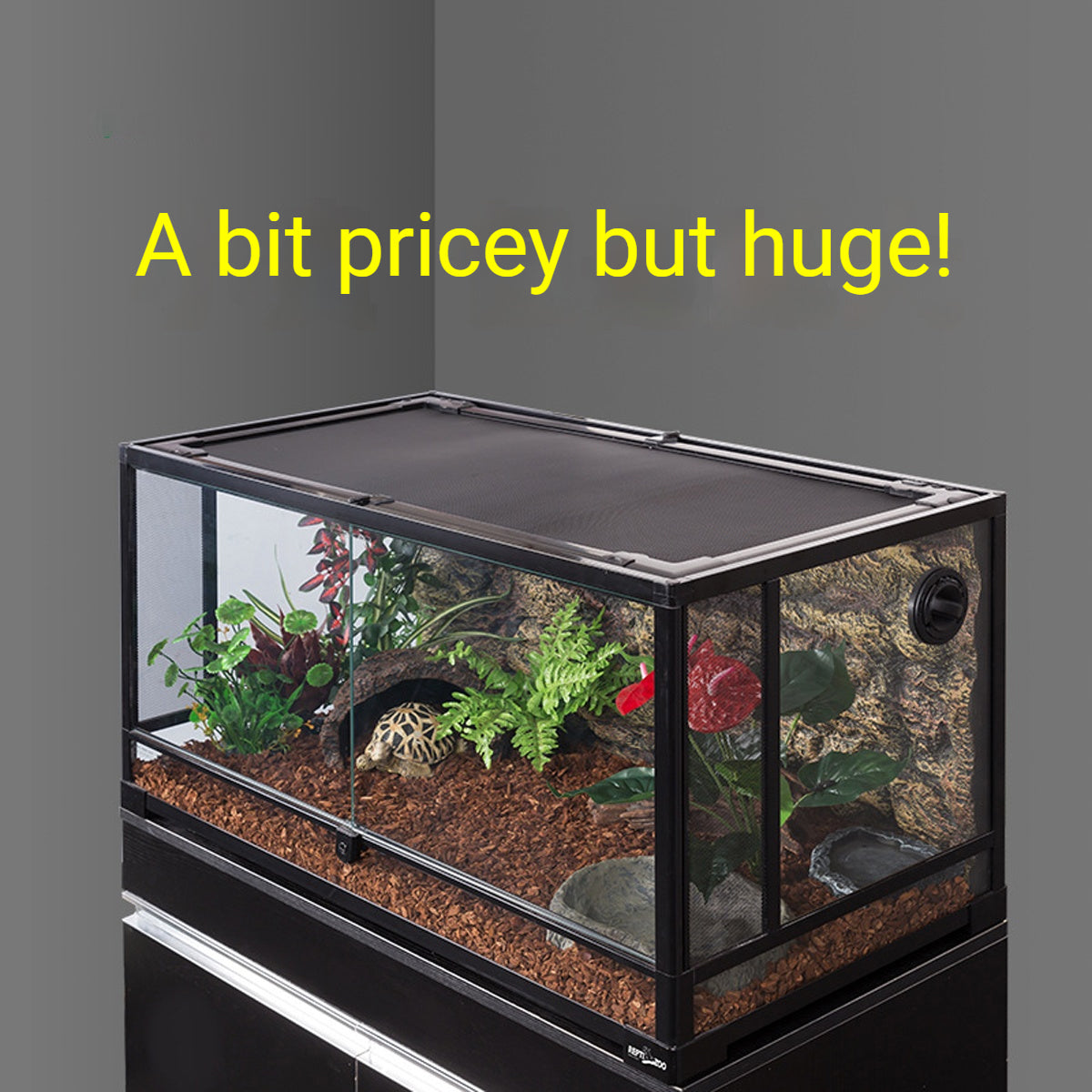 Glass Reptile Terrarium Habitat Enclosure