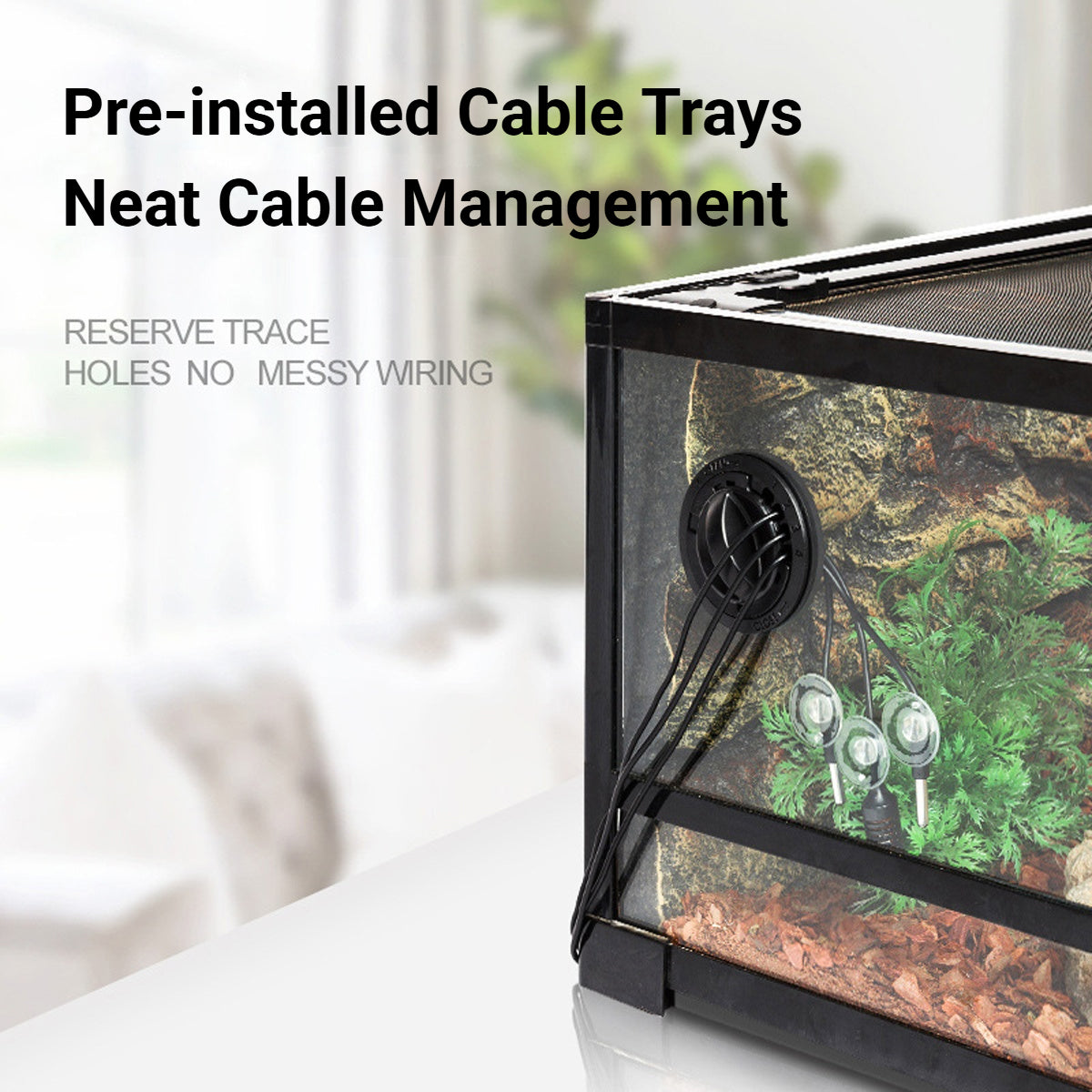 Glass Reptile Terrarium Habitat Enclosure