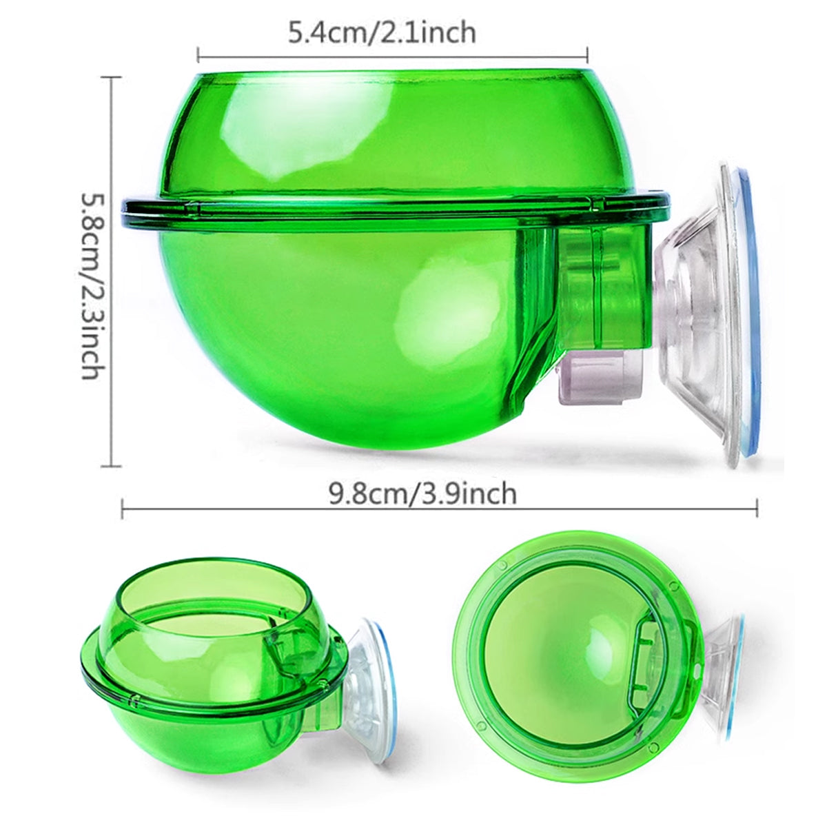 Reptile Suction Cup Feeder Bowl For Lizards And Geckos