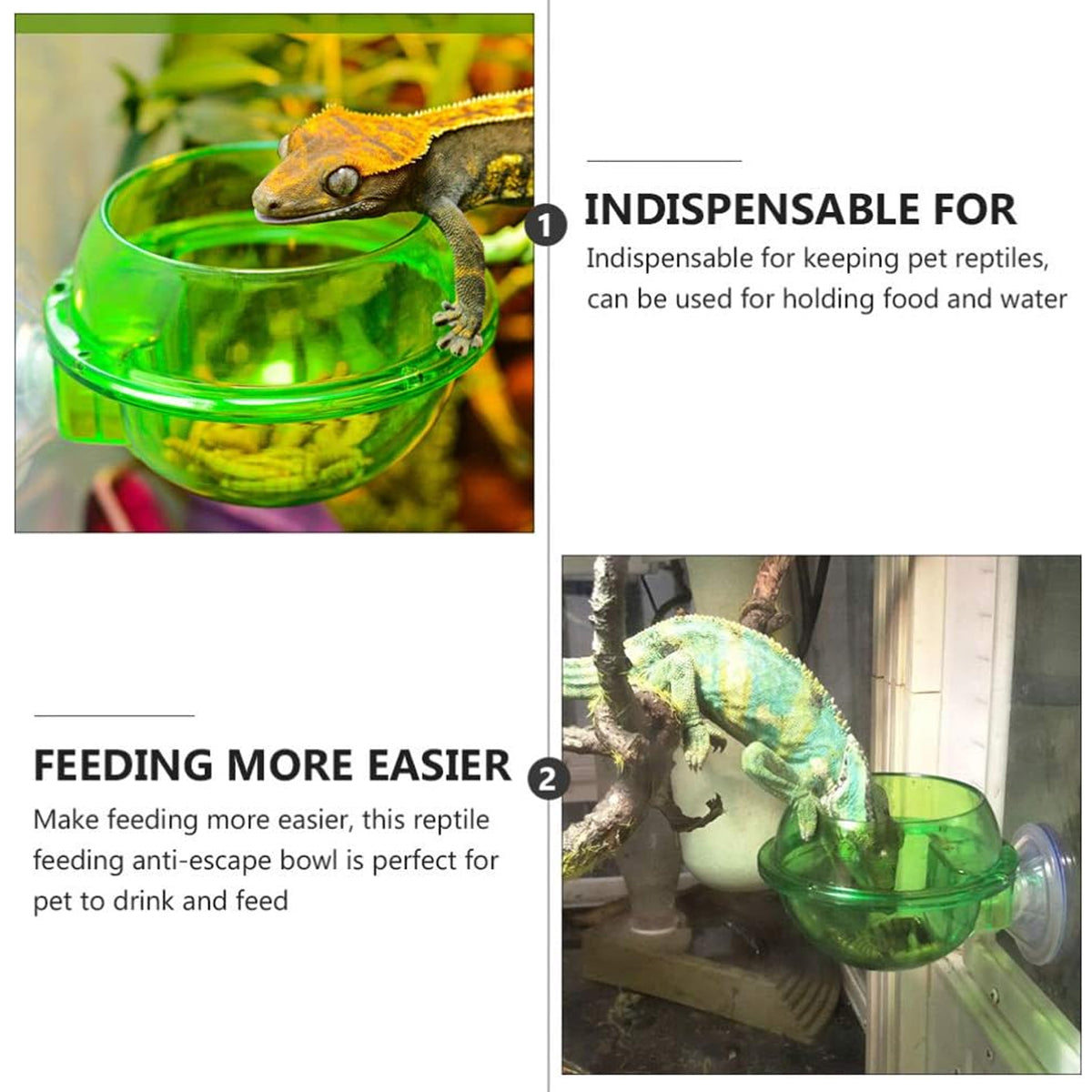 Reptile Suction Cup Feeder Bowl For Lizards And Geckos