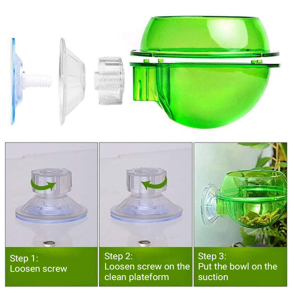 Reptile Suction Cup Feeder Bowl For Lizards And Geckos