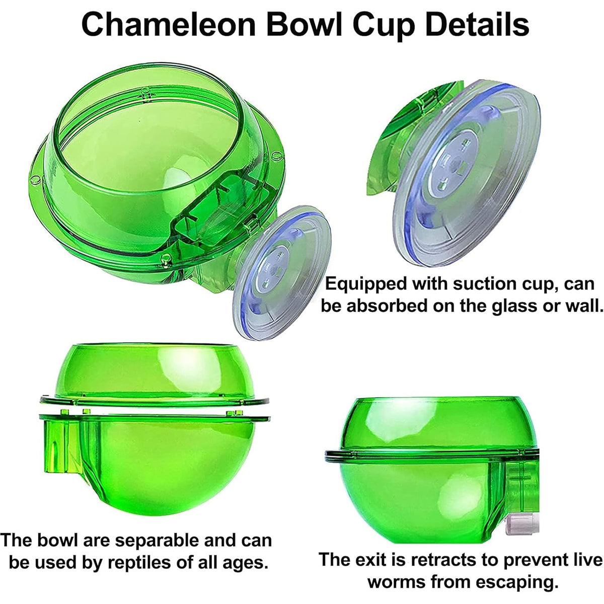 Reptile Suction Cup Feeder Bowl For Lizards And Geckos
