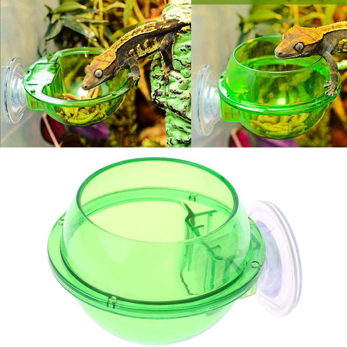 Reptile Suction Cup Feeder Bowl For Lizards And Geckos