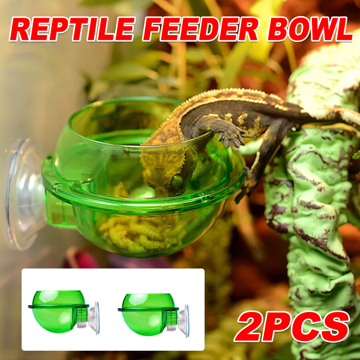 Reptile Suction Cup Feeder Bowl For Lizards And Geckos