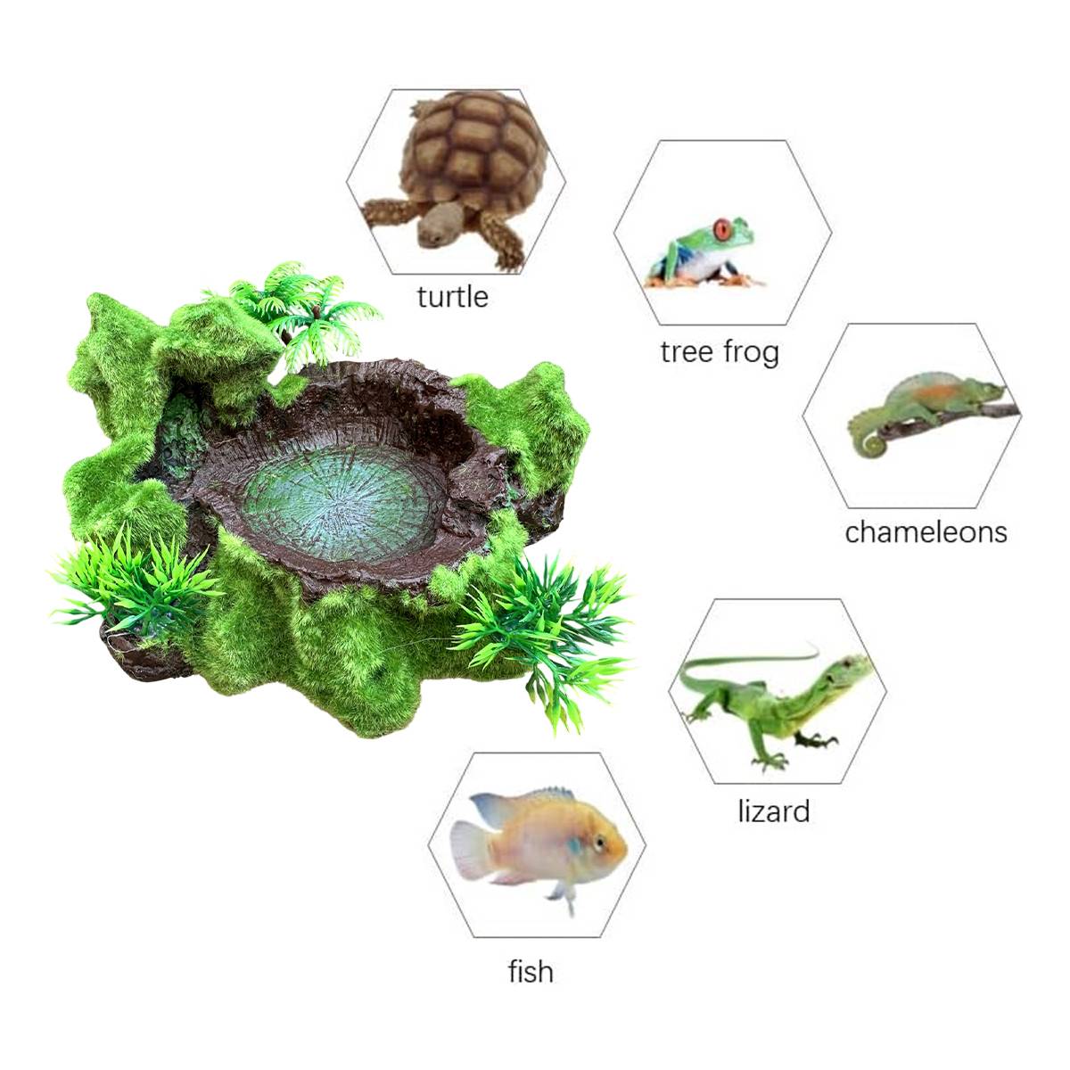 Reptile Feeding Bowl With Water Basin