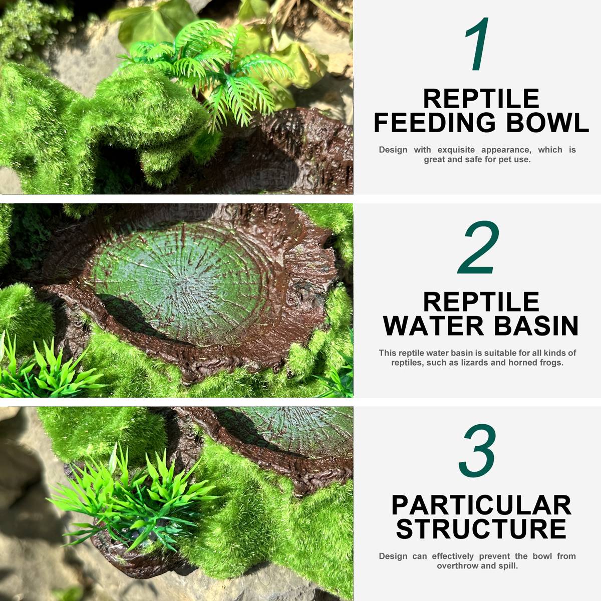 Reptile Feeding Bowl With Water Basin
