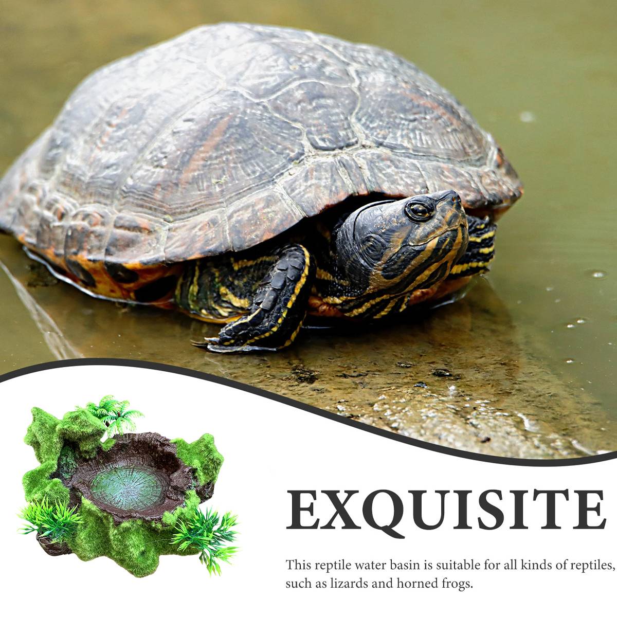 Reptile Feeding Bowl With Water Basin
