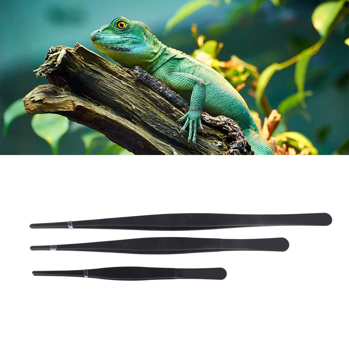 Stainless Steel Feeding Clip Forceps 3PCS Set For Reptiles
