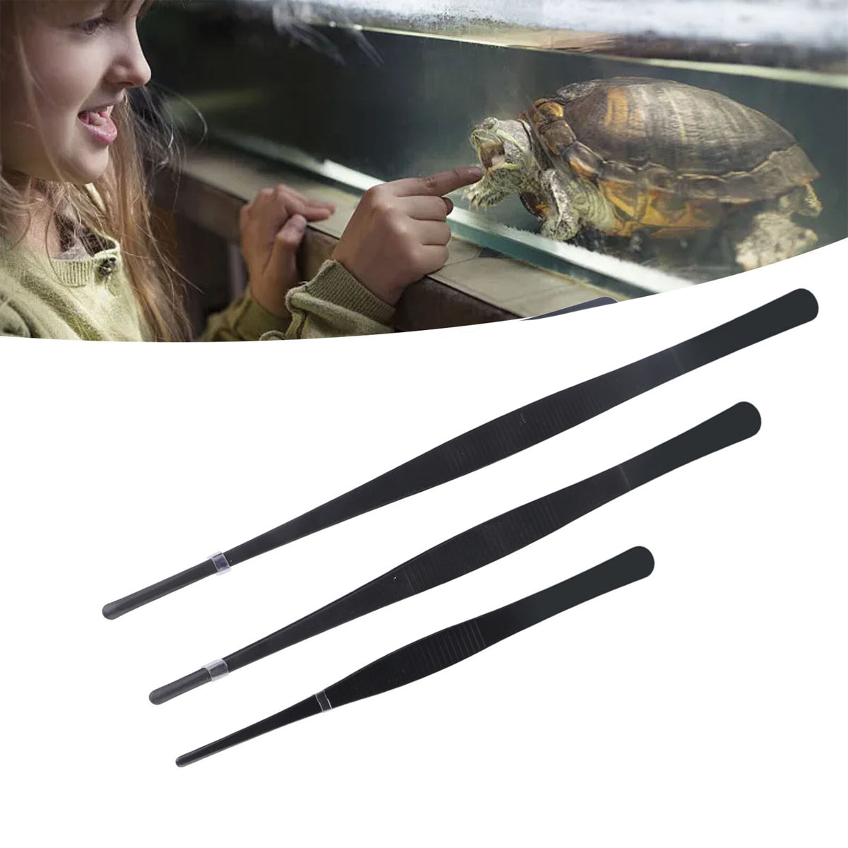 Stainless Steel Feeding Clip Forceps 3PCS Set For Reptiles