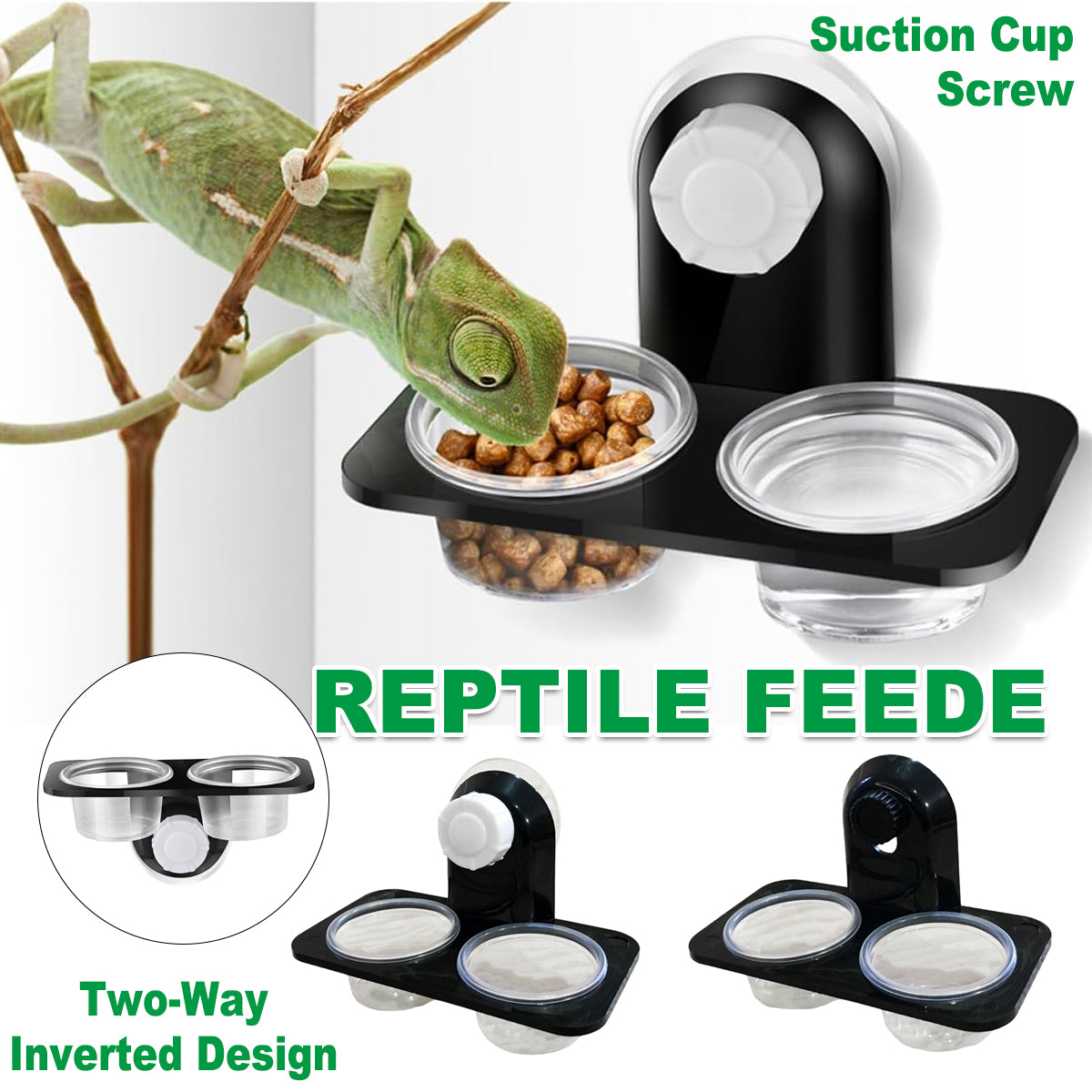 Dual Reptile Food And Water Bowl With Mounting Options