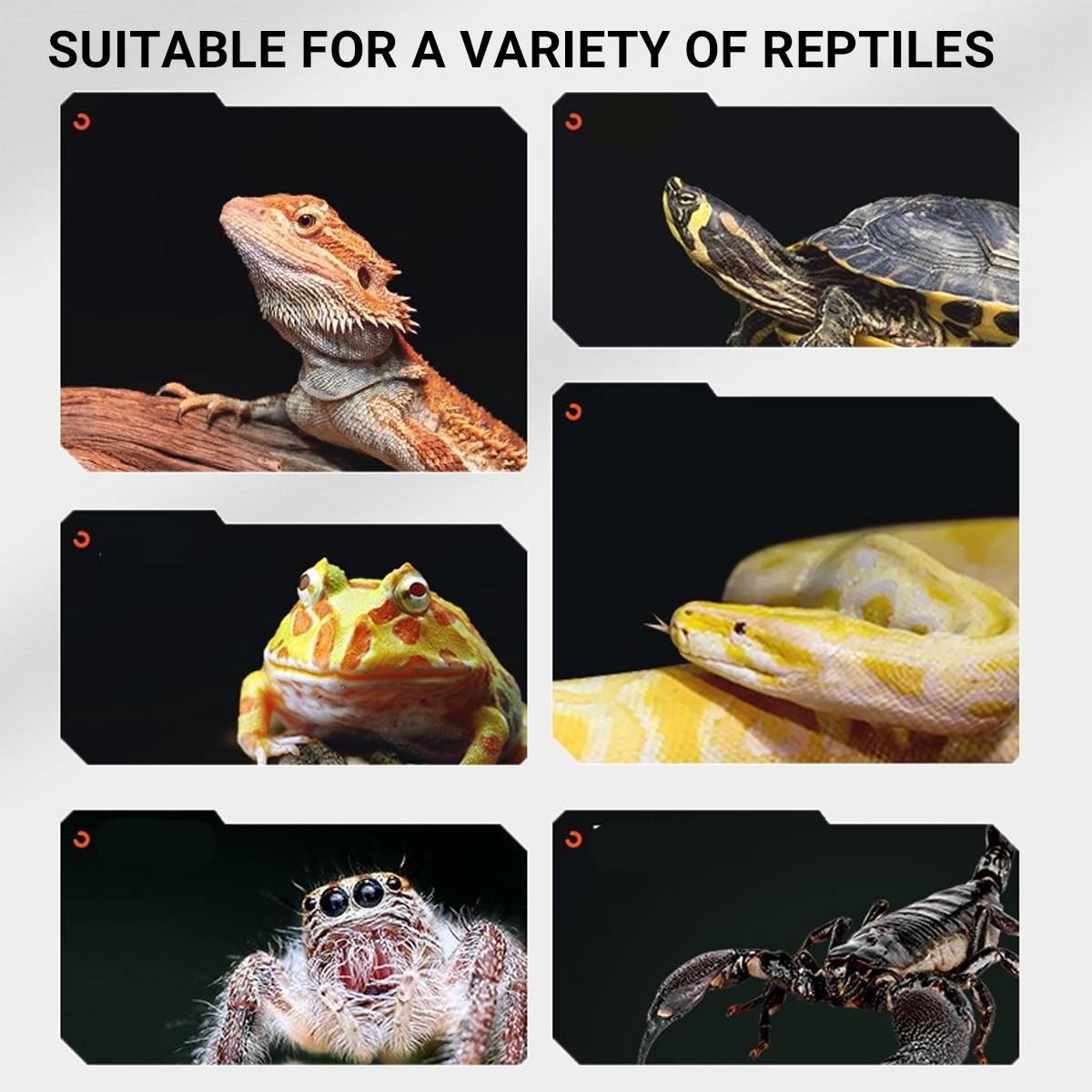 LED UVB Reptile Lamp Full Spectrum 5.0
