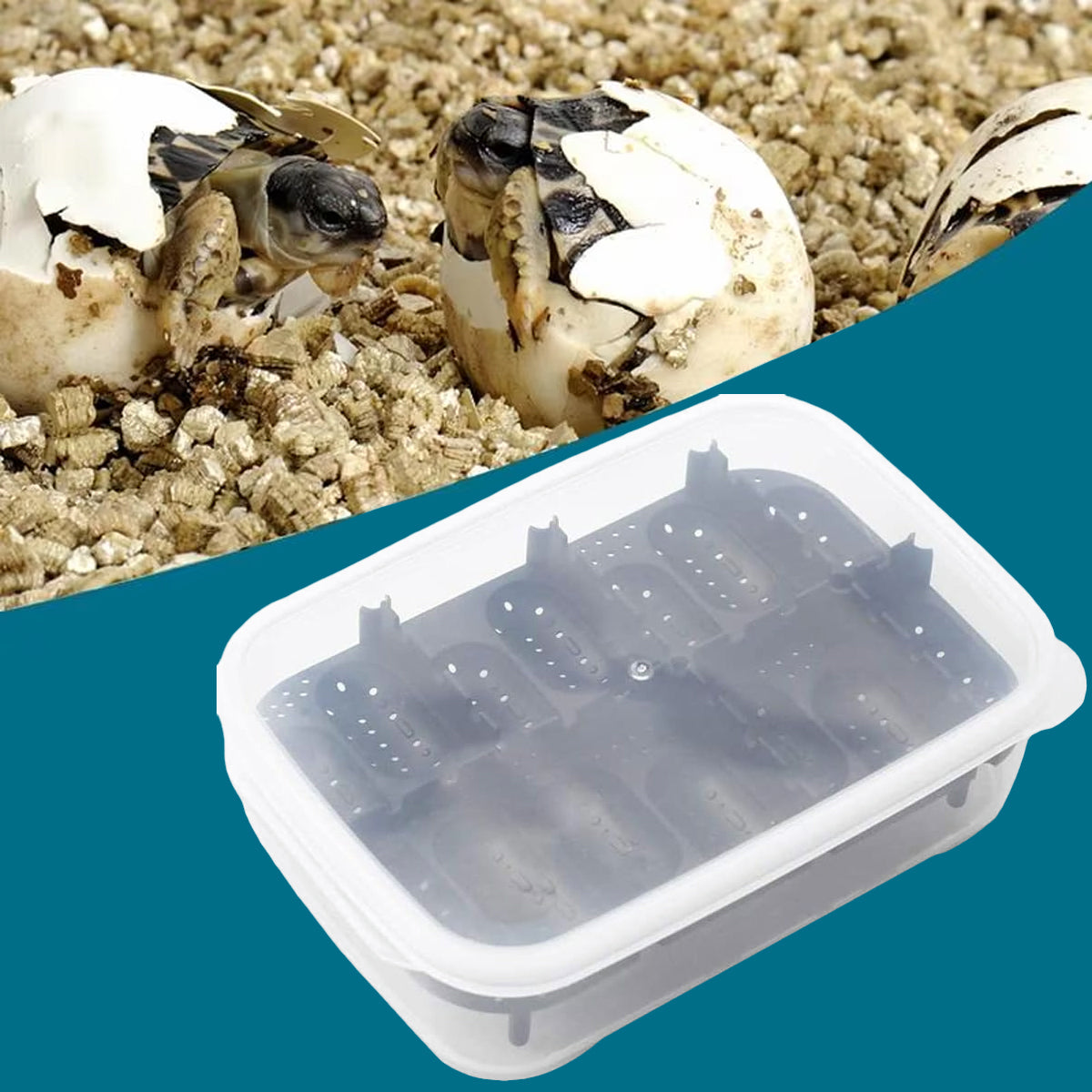 14 Grid Reptile Breeding Box Transparent Egg Incubator