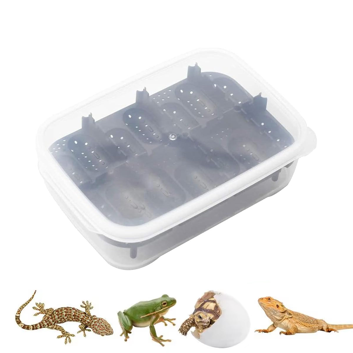 14 Grid Reptile Breeding Box Transparent Egg Incubator