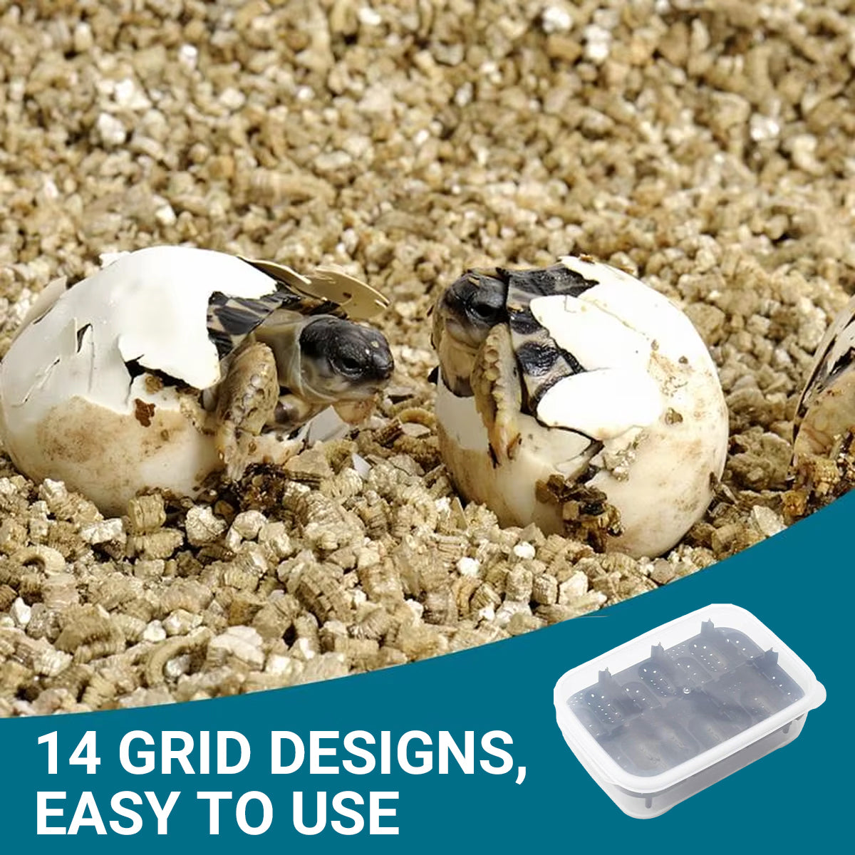 14 Grid Reptile Breeding Box Transparent Egg Incubator