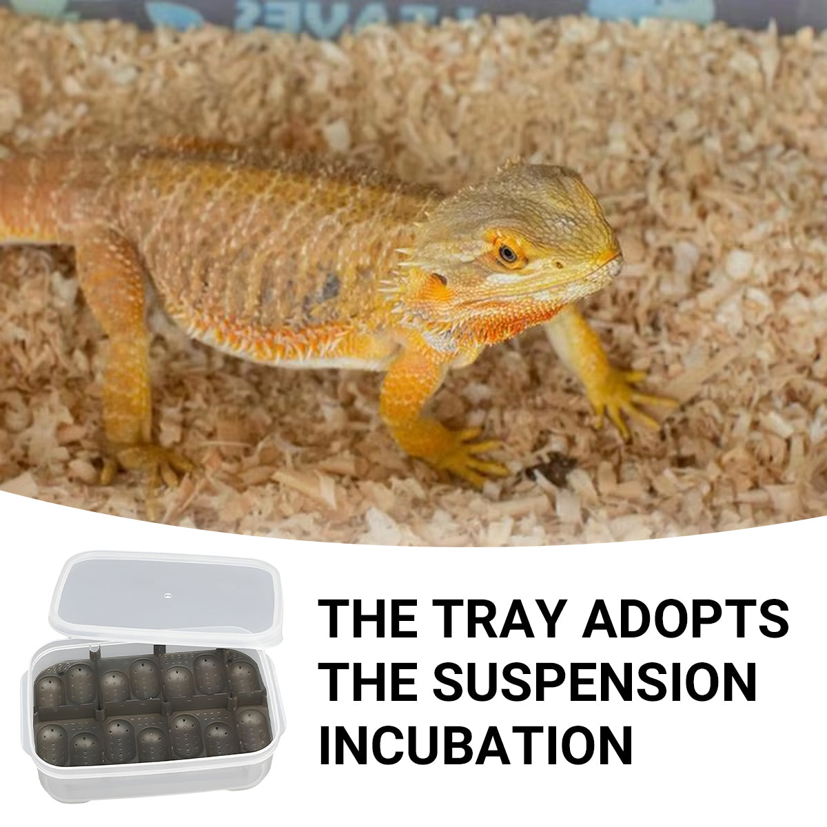14 Grid Reptile Breeding Box Transparent Egg Incubator