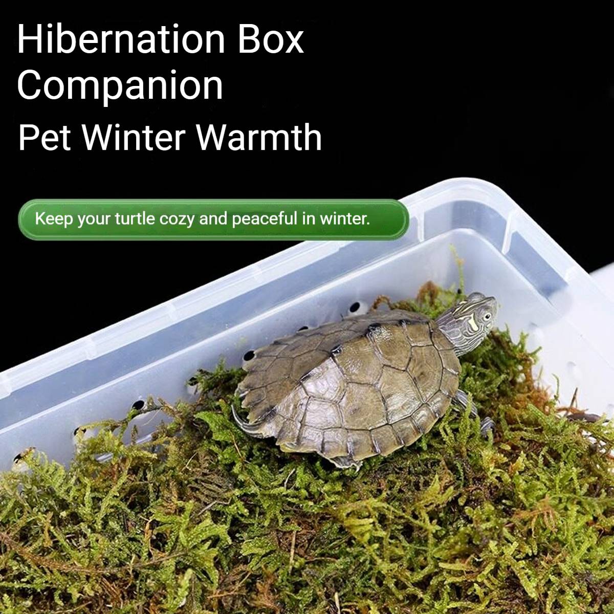 Yee Reptile Hibernation Kit With Coconut Soil And Moss