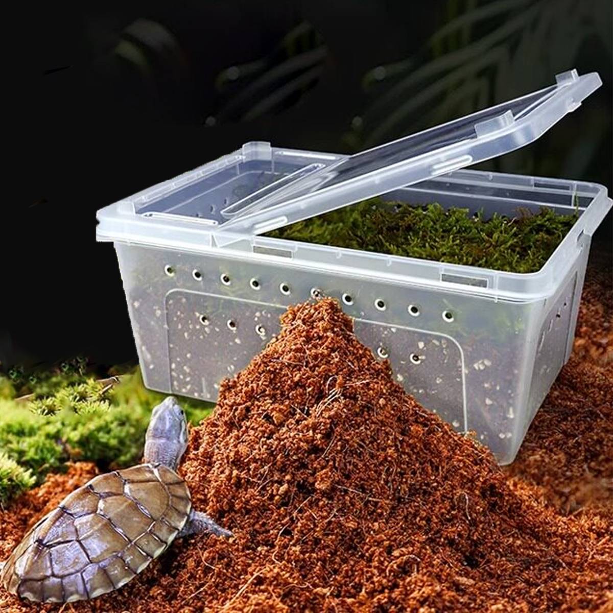 Yee Reptile Hibernation Kit With Coconut Soil And Moss