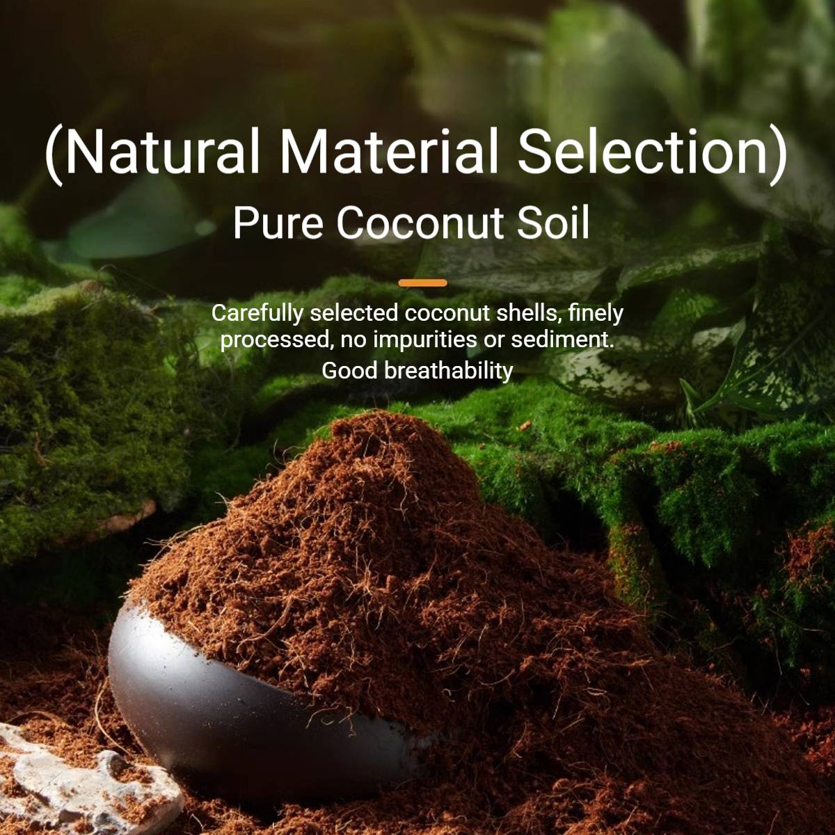 Yee Reptile Hibernation Kit With Coconut Soil And Moss