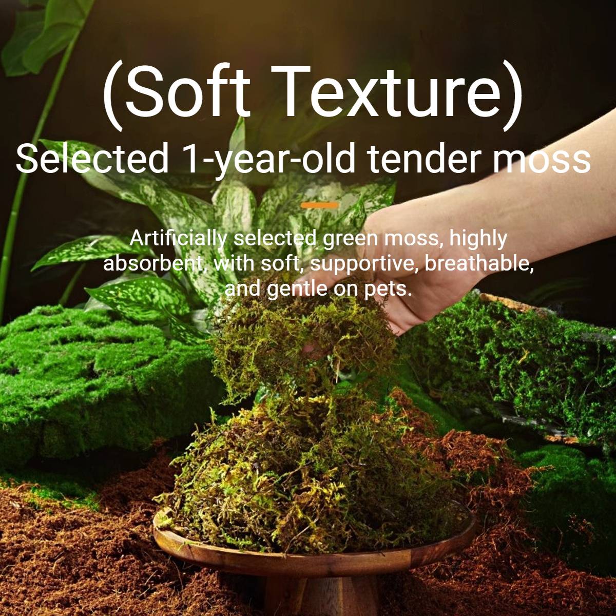 Yee Reptile Hibernation Kit With Coconut Soil And Moss
