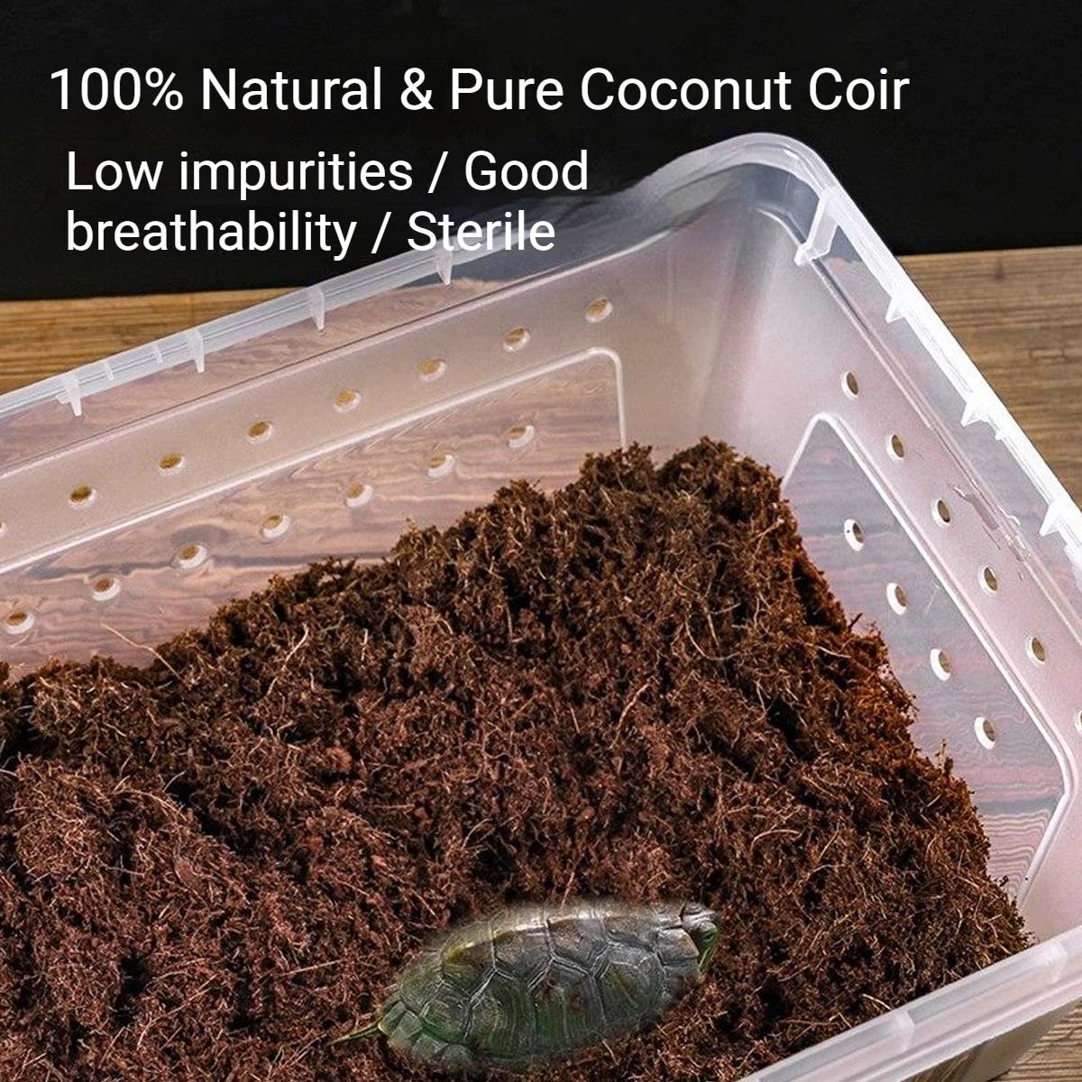 Yee Reptile Hibernation Kit With Coconut Soil And Moss