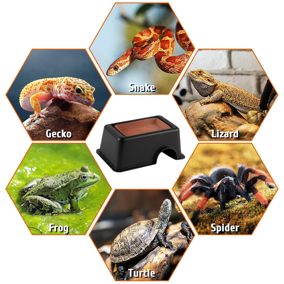 Reptile Hideout Cave Shelter With Ventilation For Lizards Geckos