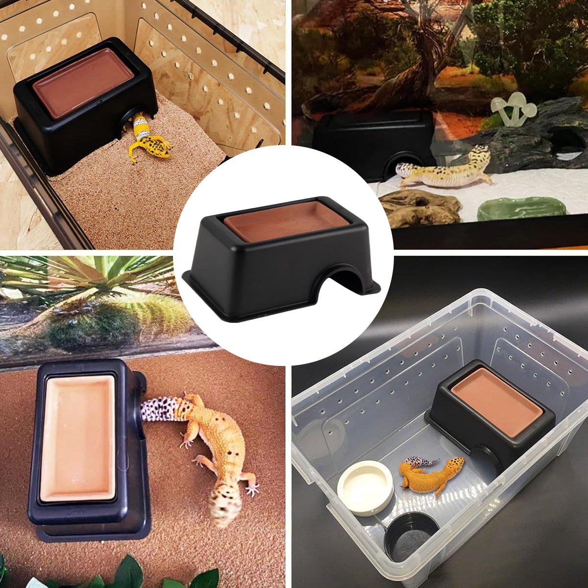Reptile Hideout Cave Shelter With Ventilation For Lizards Geckos