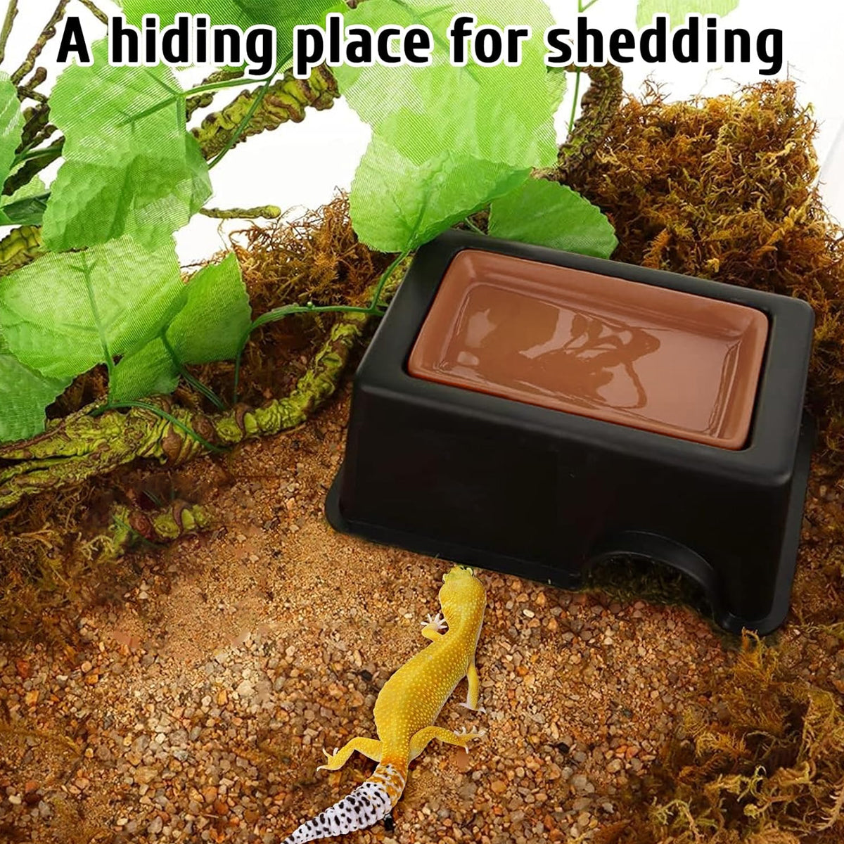 Reptile Hideout Cave Shelter With Ventilation For Lizards Geckos