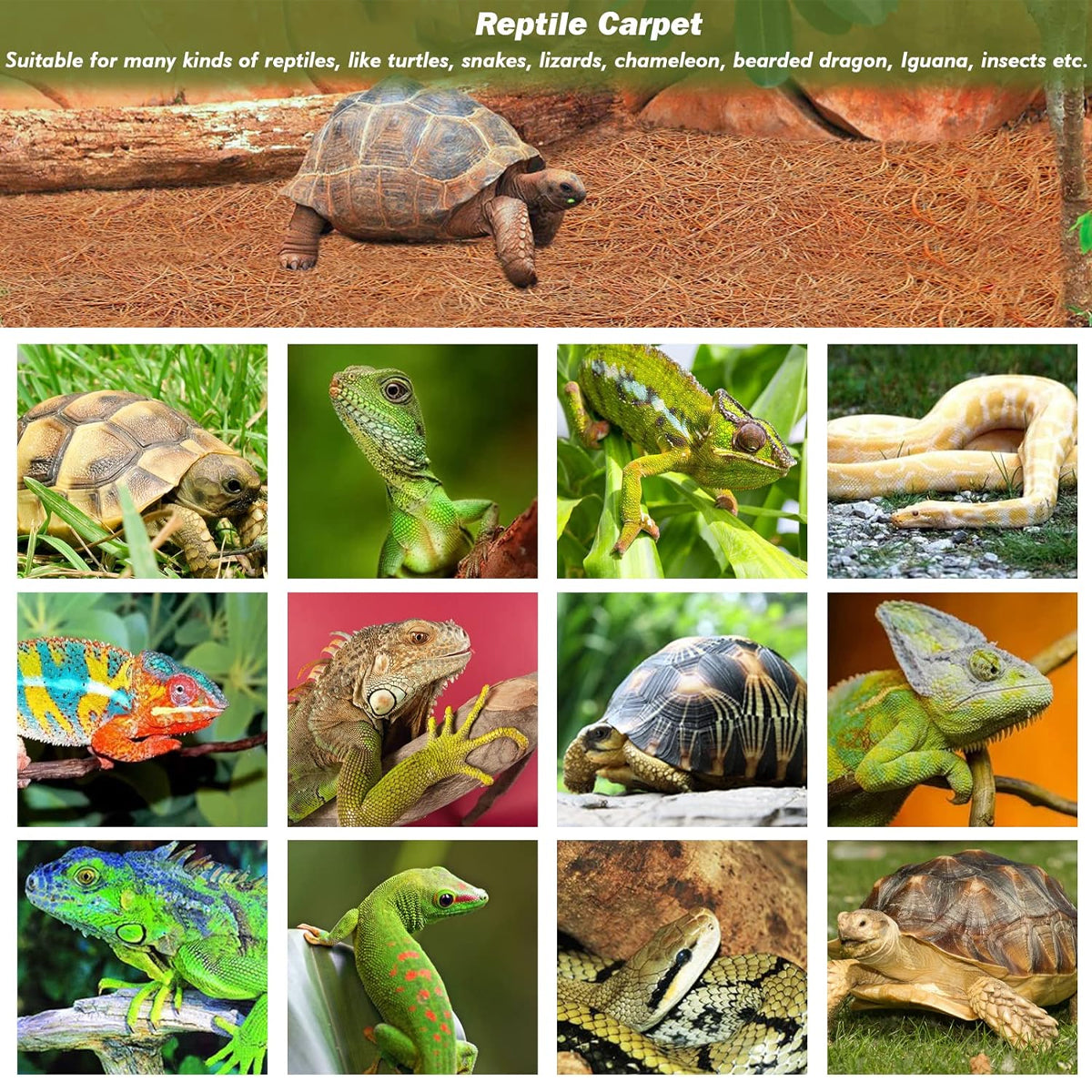 Reptile Terrarium Liner Coconut Fiber Mat Tortoise Carpet Pet Hamster Bedding