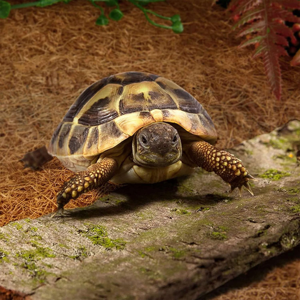 Reptile Terrarium Liner Coconut Fiber Mat Tortoise Carpet Pet Hamster Bedding