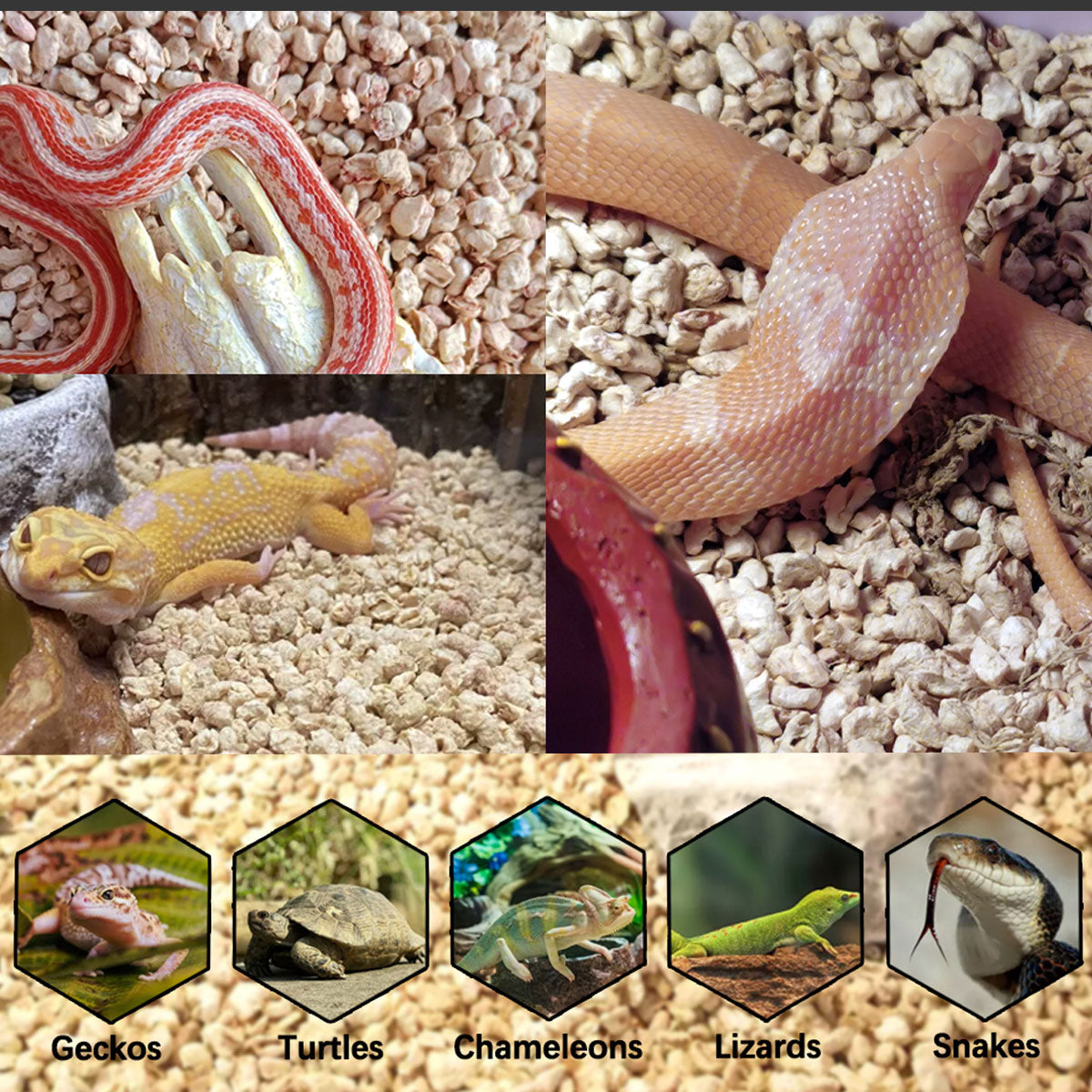 1kg Natural Corn Cob Bedding for Reptiles Small Animal Safe Eco-Friendly Habitat