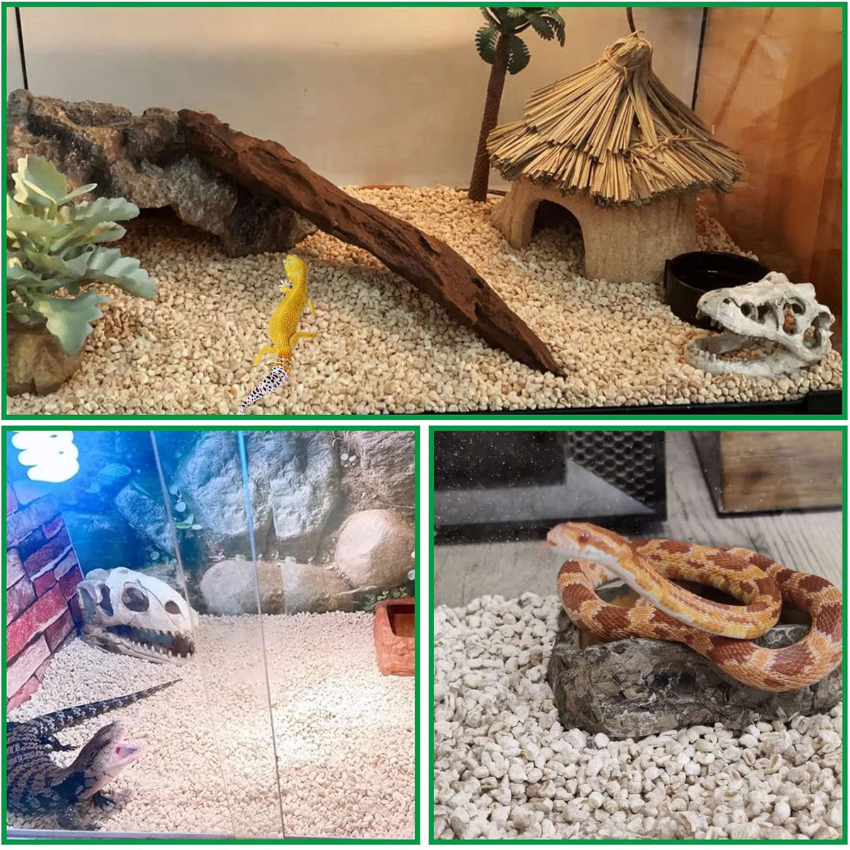 1kg Natural Corn Cob Bedding for Reptiles Small Animal Safe Eco-Friendly Habitat