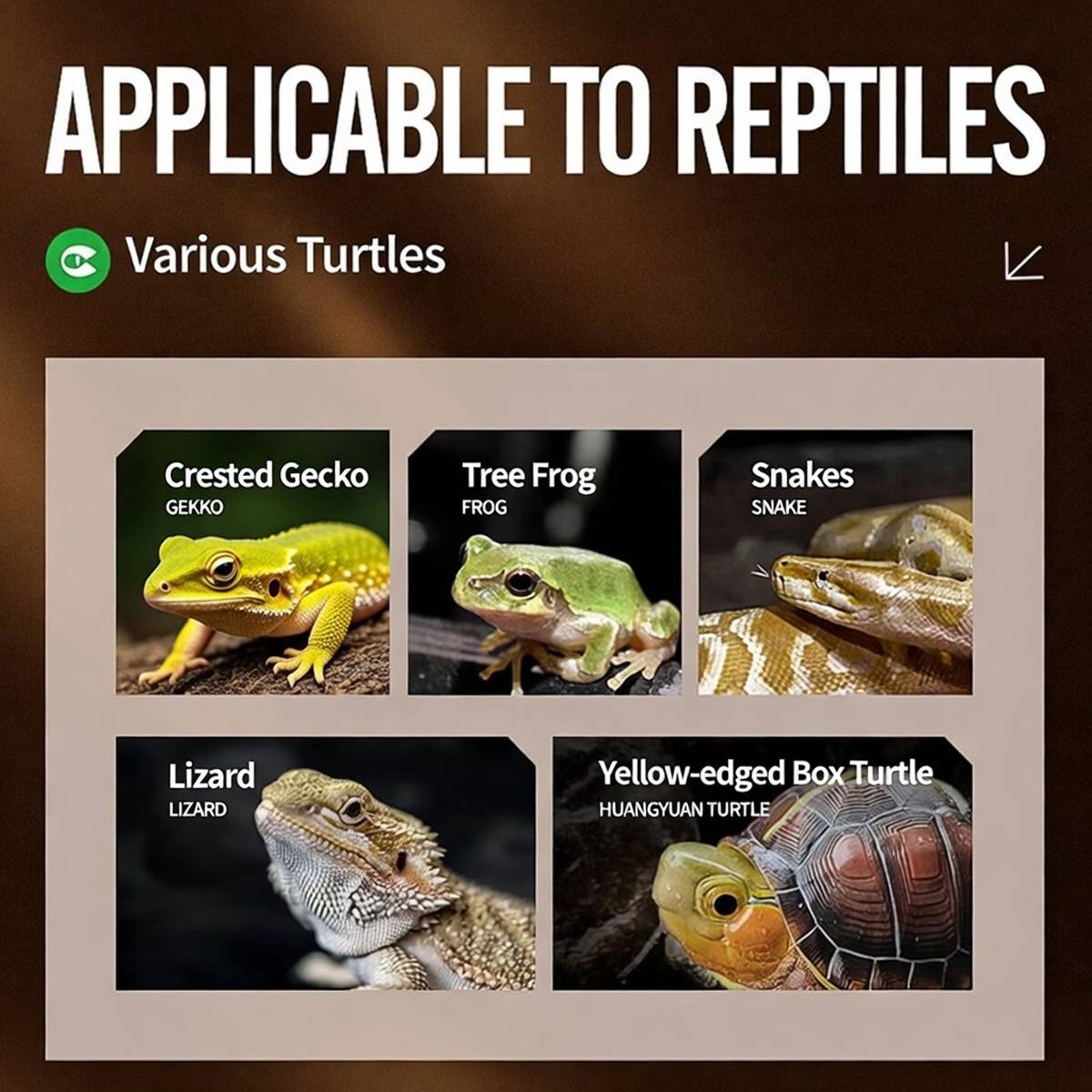 Natural pine bark bedding for reptile vivariums in small pack – product view 11