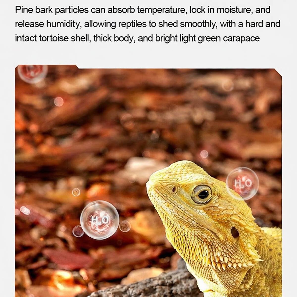 Natural pine bark bedding for reptile vivariums in small pack – product view 14