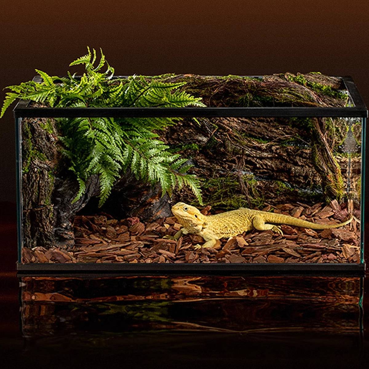 Natural pine bark bedding for reptile vivariums in small pack – product view 9