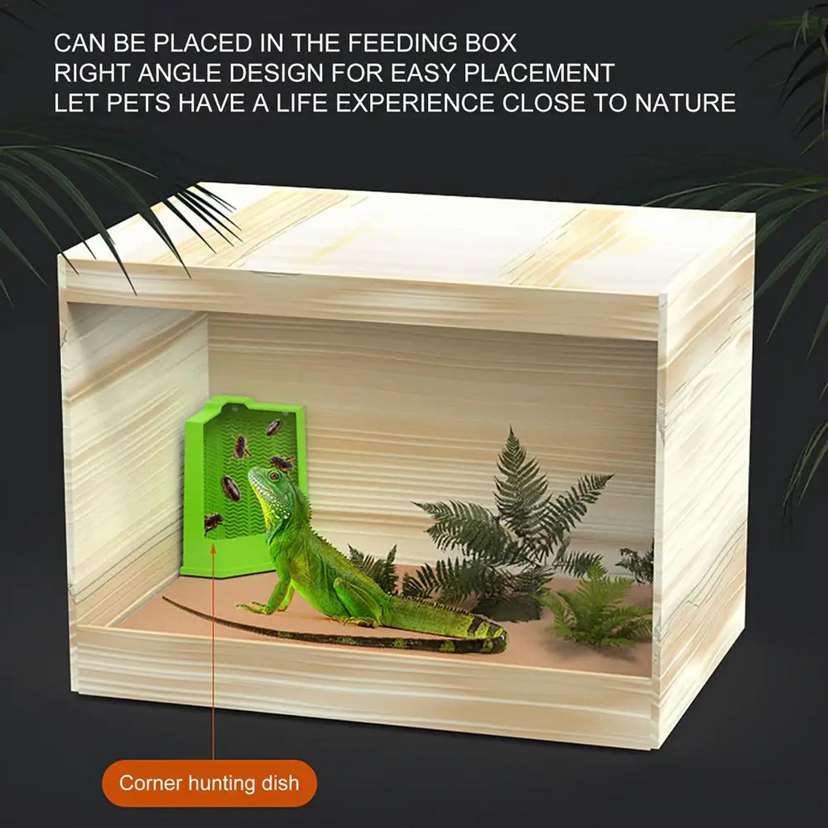Predator Dish For Reptile Feeding