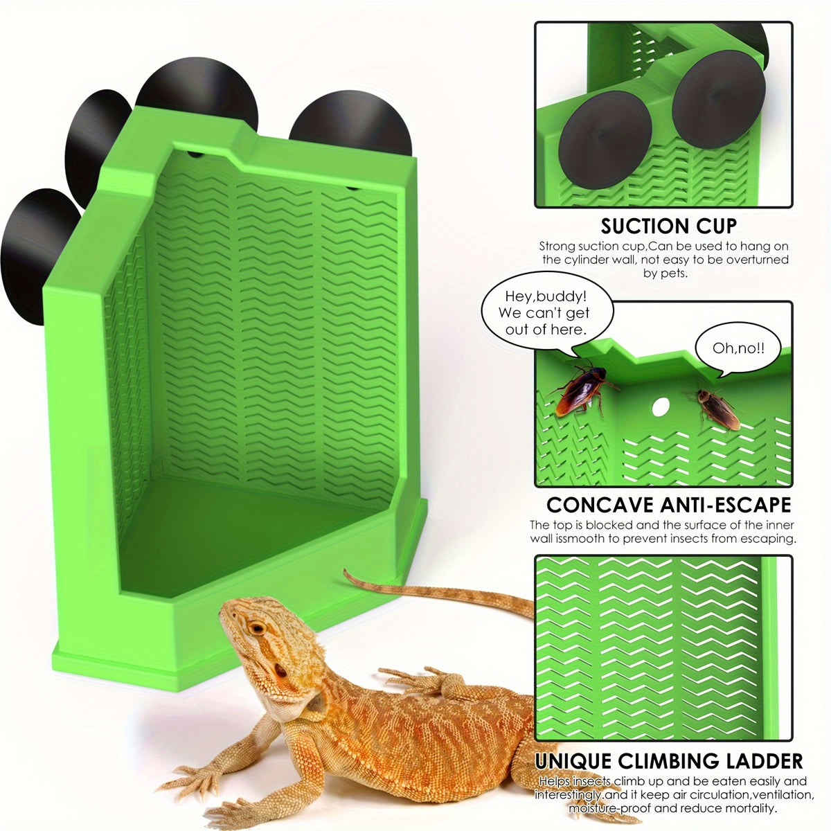Predator Dish For Reptile Feeding
