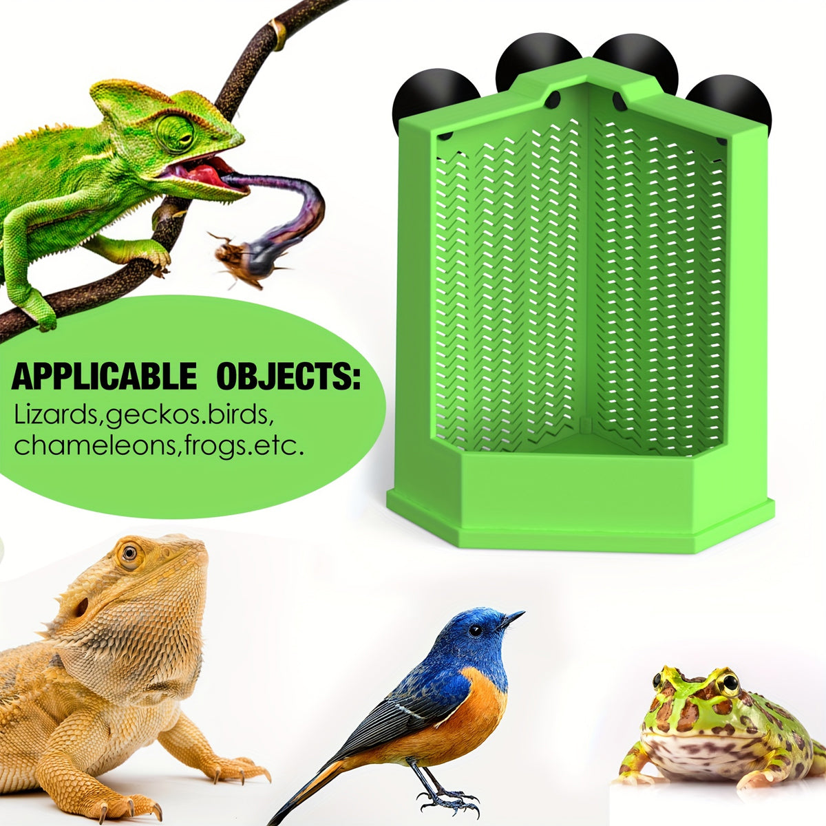 Predator Dish For Reptile Feeding