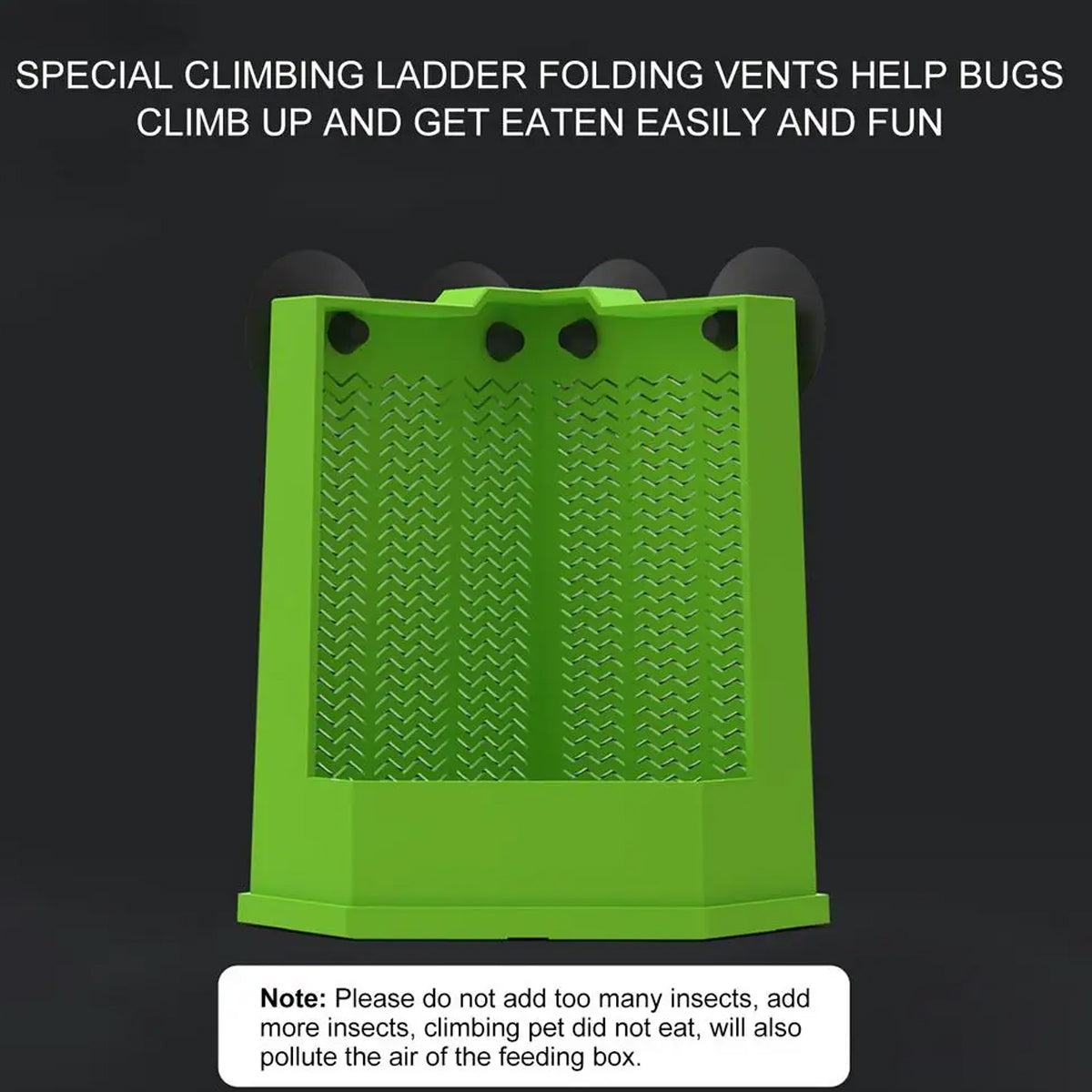 Predator Dish For Reptile Feeding