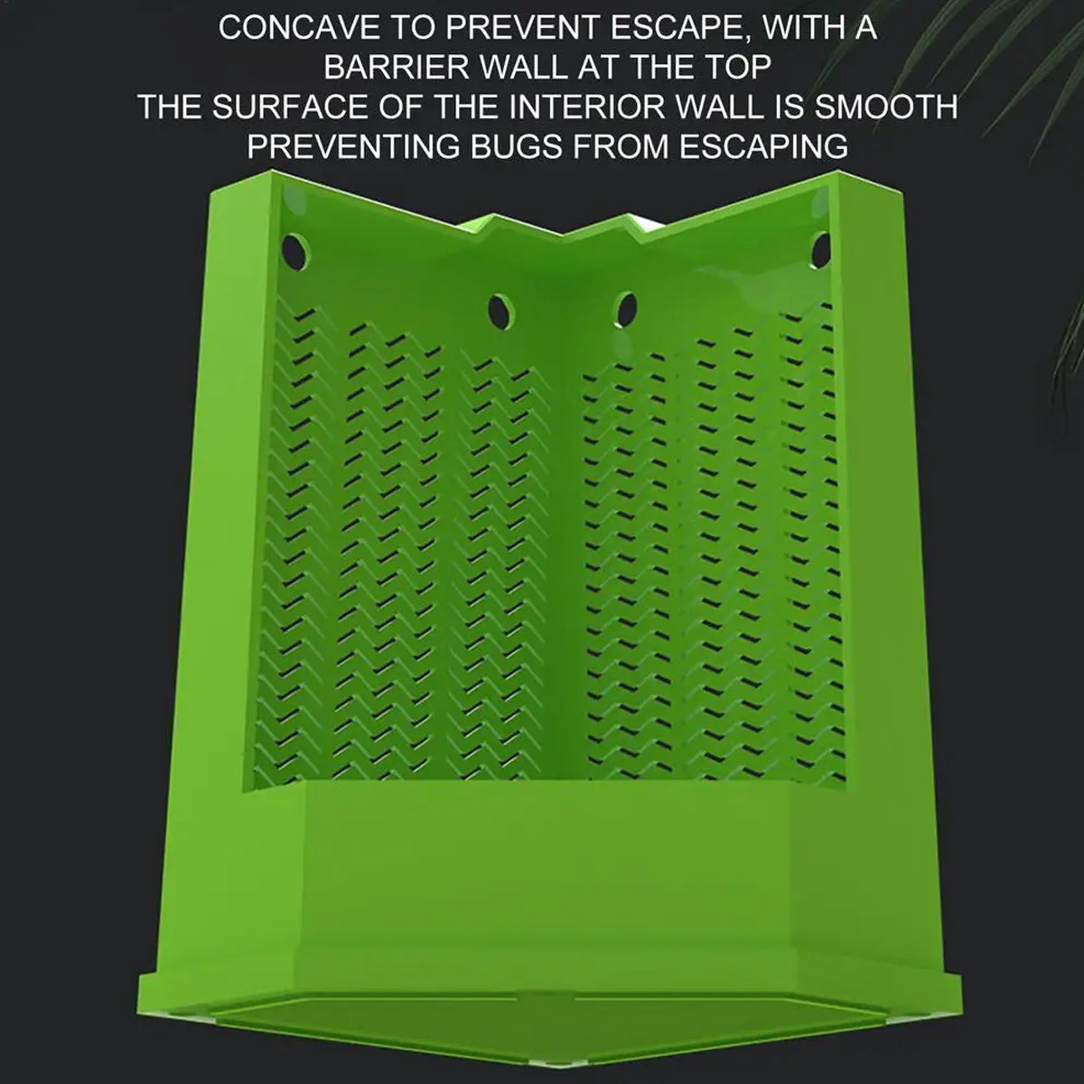 Predator Dish For Reptile Feeding