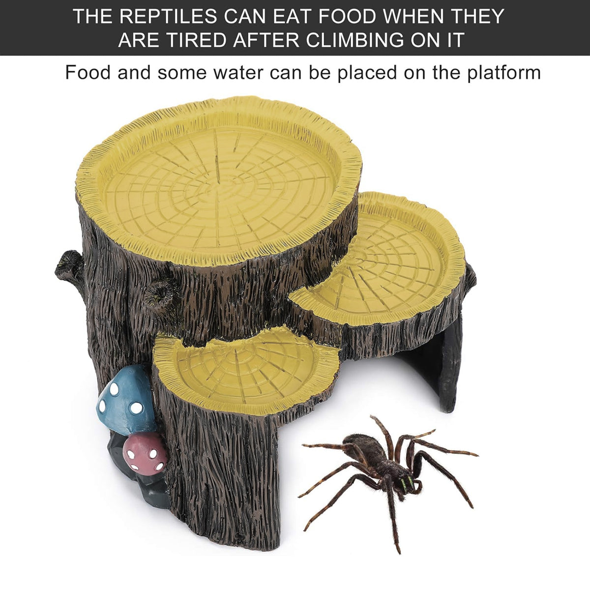 Reptile Rest Shelter Resin Reptile Hide Cave