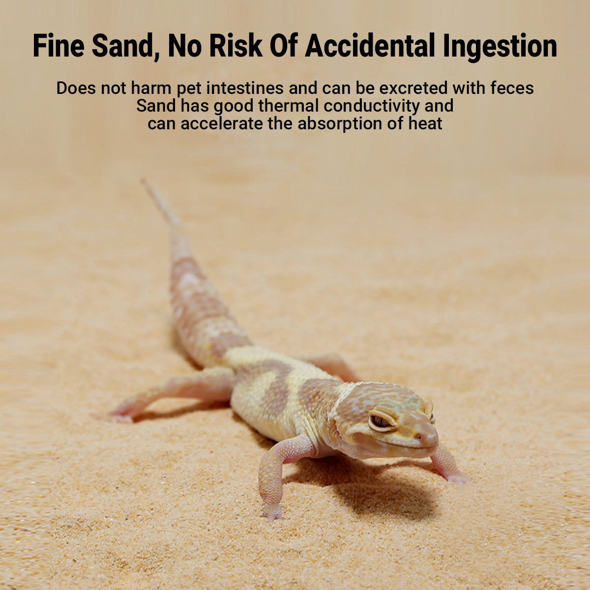1.8kg Reptile Sand Mat Natural Substrate for Terrarium Creeping Sand Bedding
