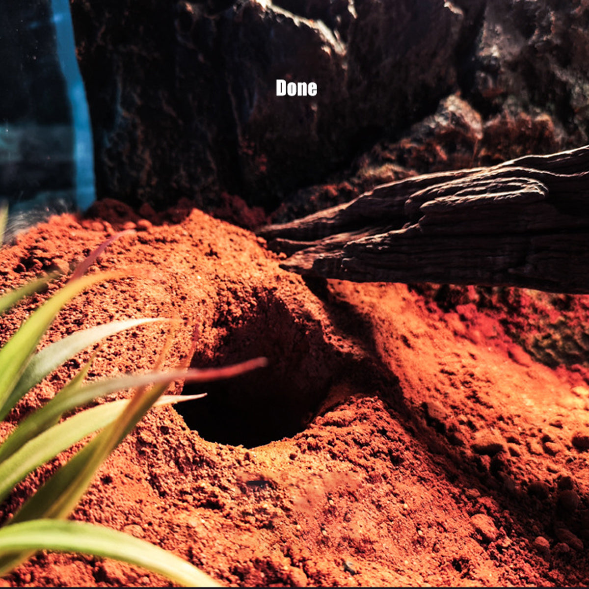 Natural Desert Reptile Sand Bedding 1kg | Heat-Conductive Substrate